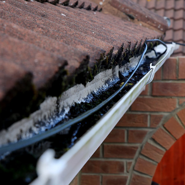 Dirty gutter before vacuum cleaning.