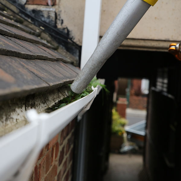 Gutter-vac sucking up debris and weeds from gutter.